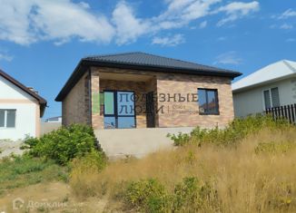 Продается дом, 100 м2, село Борисовка, улица Бориса Жерве