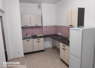 Сдача в аренду 1-комнатной квартиры, 34 м2, поселок Бугры, улица Шекспира, 7