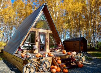 Продаю дом, 30.2 м2, деревня Ракитинка, Южная улица