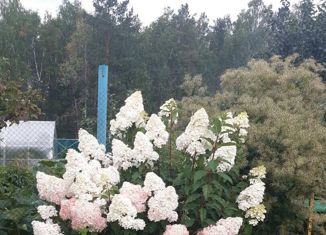 Продажа дома, 530 м2, посёлок городского типа Боровский, Никольская площадь