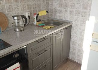 Сдам в аренду двухкомнатную квартиру, 42 м2, Новосибирск, улица Державина, 1, метро Красный проспект