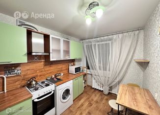 Сдается в аренду однокомнатная квартира, 30 м2, Санкт-Петербург, улица Карбышева, 6к1, метро Площадь Мужества