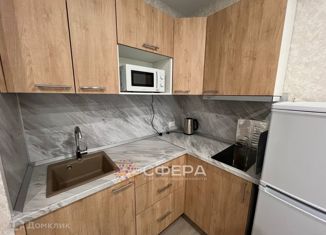 Квартира в аренду студия, 31 м2, Новосибирск, Красный проспект, 167/4, Заельцовский район