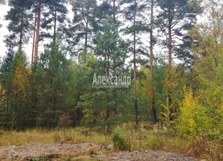 Продажа участка, 12 сот., поселок Починок, 41К-764