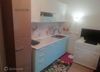 Продажа квартиры студии, 23.2 м2, Колпино, ЖК Новое Колпино