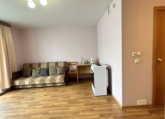 Квартира на продажу студия, 24.5 м2, Челябинская область, Просторная улица, 52
