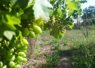 Продажа участка, 7.74 сот., село Прибрежное