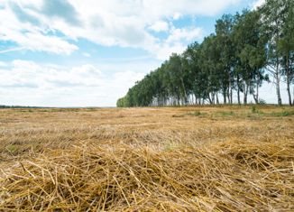 Продажа земельного участка, 24.38 сот., село Мокрый Корь