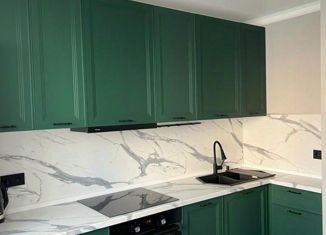 Сдается в аренду 2-комнатная квартира, 54.5 м2, Москва, улица Ивана Бабушкина, 3, Академический район