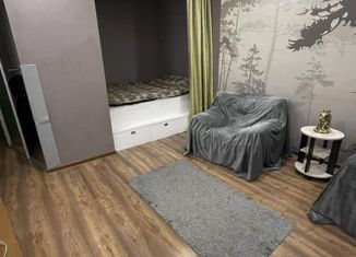 Сдача в аренду 1-комнатной квартиры, 35.3 м2, посёлок Понтонный, улица Судостроителей, 5