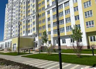 Продажа двухкомнатной квартиры, 53 м2, Краснодар, 3-я Трудовая улица, 1/3, ЖК Зеленодар