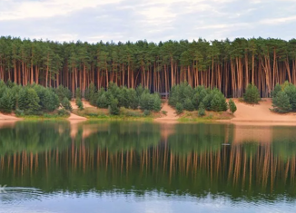 Продается участок, 22 сот., деревня Андреевское, Р-92, 17-й километр