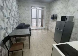 Сдам в аренду 1-комнатную квартиру, 30 м2, Новосибирская область, Светлановская улица, 52