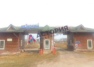 Земельный участок на продажу, 1620 сот., село Новое Павшино, улица Лазурный Берег, 45А