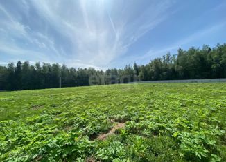 Участок на продажу, 10.44 сот., деревня Мартьянково