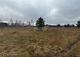 Продаю участок, 11 сот., село Еткуль