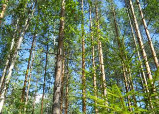 Земельный участок на продажу, 53 сот., деревня Жуковка, деревня Жуковка, 119