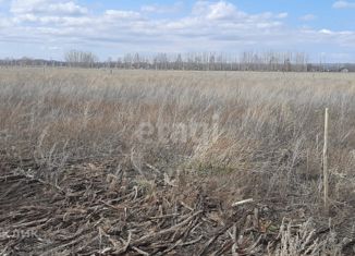 Продаю участок, 12.5 сот., деревня Первомайская, Берёзовая улица