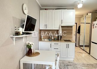 Продажа квартиры студии, 24.4 м2, поселок Бугры, Новая улица, 7