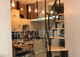 Продажа квартиры студии, 24.9 м2, Санкт-Петербург, Гороховая улица, 46Б, метро Сенная площадь