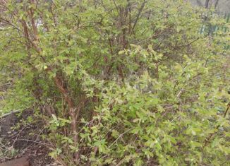 Продам земельный участок, 4 сот., СНТ Бызгун