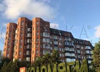 Продаю 1-ком. квартиру, 41.3 м2, Санкт-Петербург, Репищева улица, 7, Репищева улица