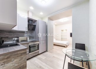 Продажа 1-комнатной квартиры, 26 м2, Санкт-Петербург, 10-я Красноармейская улица, 9, метро Балтийская