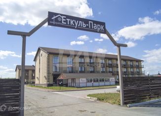 Продажа 4-комнатной квартиры, 239 м2, село Еткуль, Кедровая улица, 2