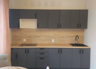 Продажа квартиры студии, 28 м2, деревня Скотное, Вересковая улица, 2к1