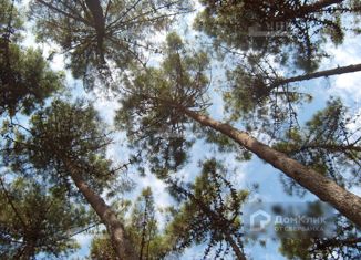 Продается участок, 15 сот., деревня Жуковка, деревня Жуковка, 183