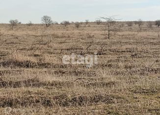 Продам земельный участок, 15 сот., село Береговое, Центральная улица, 25