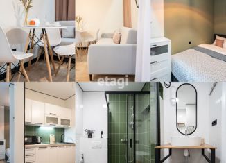 Продаю квартиру студию, 27 м2, Санкт-Петербург, Черниговская улица, 13к2, Черниговская улица