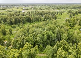 Продажа участка, 30 сот., садовое товарищество Сотовик