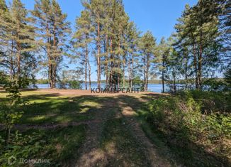 Продажа земельного участка, 999.27 сот., городской округ Сокольский