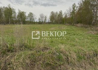 Земельный участок на продажу, 244 сот., деревня Колебино, деревня Колебино, 9