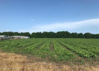 Продам участок, 180 сот., посёлок Индустриальный, Евдокимовская улица, 1