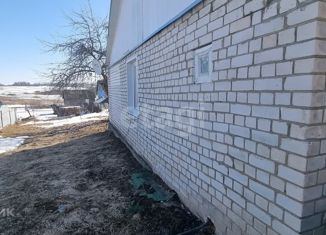 Продается дом, 100 м2, деревня Моготово, улица Мазурина