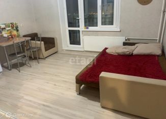 Сдам в аренду квартиру студию, 28 м2, Челябинск, улица Университетская Набережная, 105