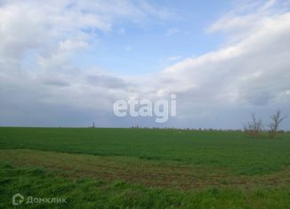 Продается участок, 80 сот., село Орехово