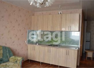 Сдача в аренду квартиры студии, 24 м2, Новосибирск, Березовая улица, 19, Березовая улица