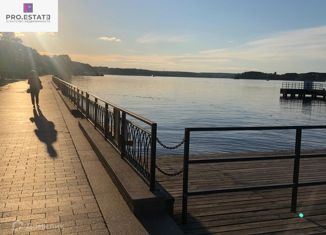 Продается дом, 380 м2, деревня Большая Чёрная, деревня Большая Чёрная, 4