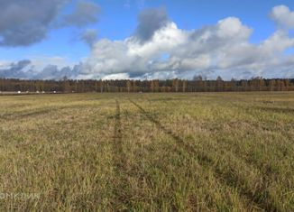 Продажа участка, 30 сот., деревня Берёзовка, Центральная улица, 28