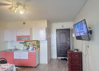 Продажа квартиры студии, 25.2 м2, Курганская область, Каштановая улица, 8А