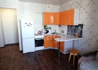 Продается квартира студия, 22.4 м2, Новосибирск, Березовая улица, 19, Березовая улица