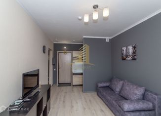 Сдача в аренду квартиры студии, 21 м2, Новосибирская область, улица Ясный Берег, 15