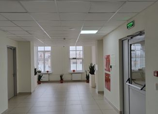 Аренда офиса, 85 м2, Санкт-Петербург, переулок Лодыгина, 5, Адмиралтейский район