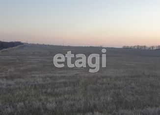 Продажа земельного участка, 6 сот., село Мирное