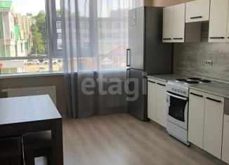 Продается однокомнатная квартира, 41 м2, Белгород, улица Попова, 35, ЖК Центр Парк
