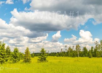 Продается земельный участок, 19 сот., деревня Бузланово