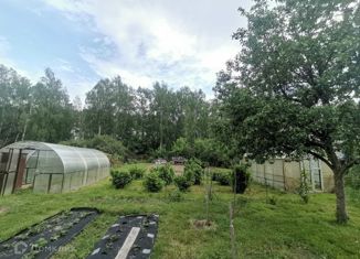 Продам земельный участок, 10 сот., село Айша, Лесная улица